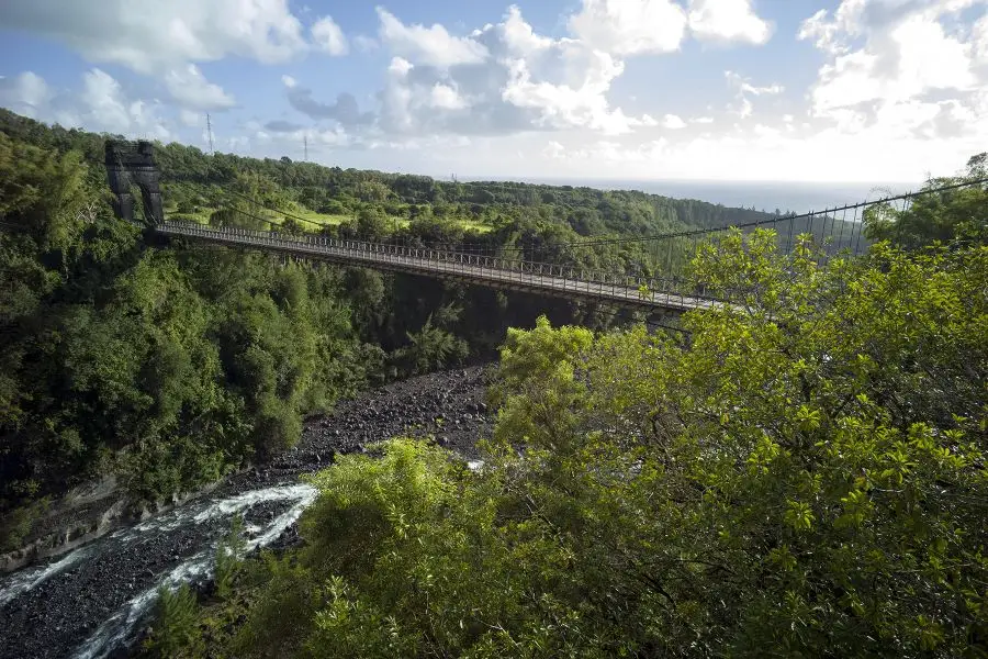 2107_9_17_05_pont_riv_est_TG